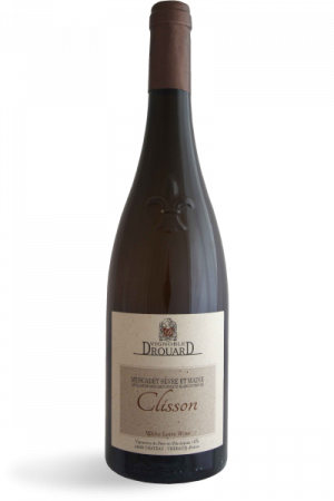 Vignoble Drouard Muscadet sèvre et maine Clisson