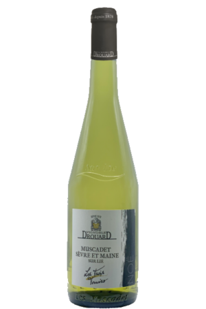 Noë - Muscadet Sèvre et Maine sur Lie